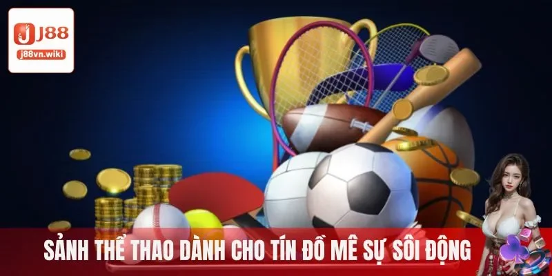 Sảnh thể thao - Tín đồ mê sự sôi động không thể bỏ qua