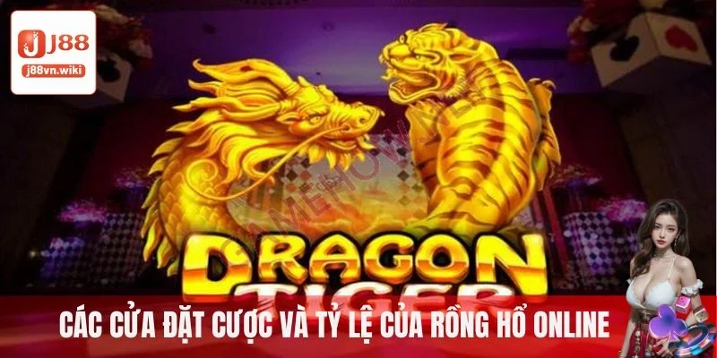 Các cửa đặt cược và tỷ lệ của Rồng Hổ online